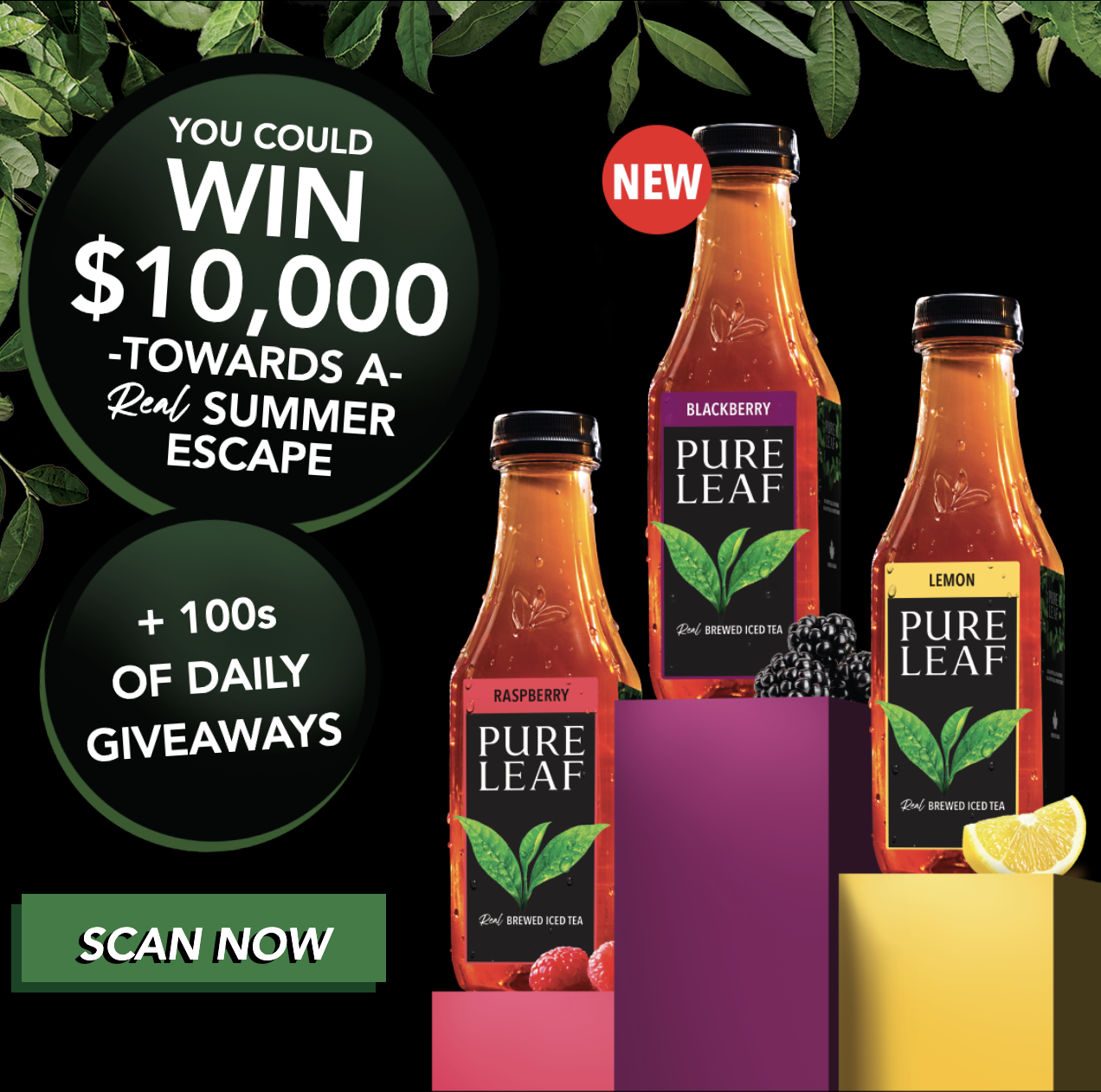 Pure Leaf Contest | Save With Sis